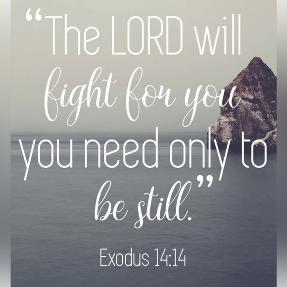 Research - Picture 14 of 16